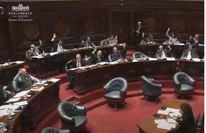 cámara-de-senadores-vota-por-tanda-partidos-políticos.jpg