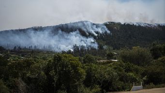 director de bomberos atribuyo factor de intencionalidad en el incendio en cerro del toro