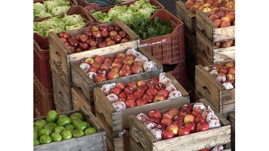 Sobran millones de kilos de manzanas y terminan en la basura