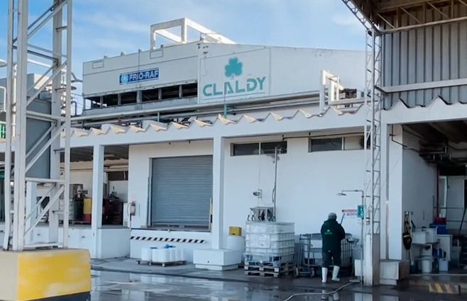 claldy-young-empresa