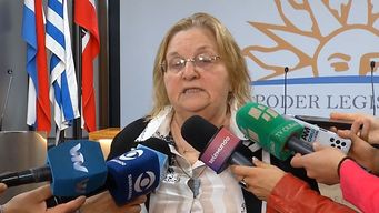 es una pantalla, una cortina de humo; bianchi critico al fa por votar de urgencia ley de lavado de activos