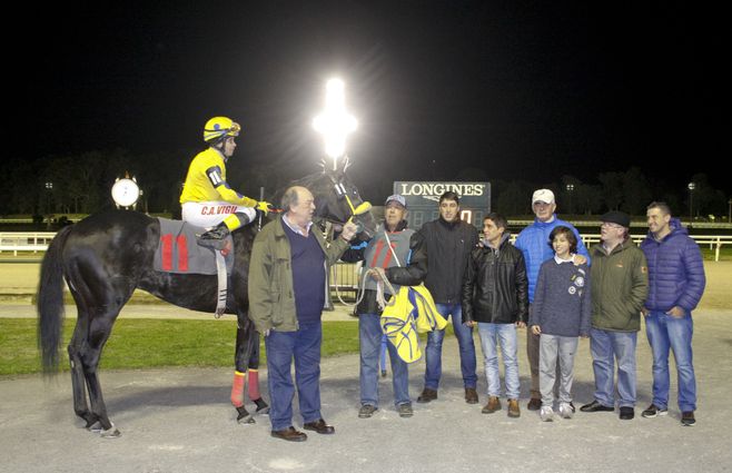 el danzarin turf (1).jpg