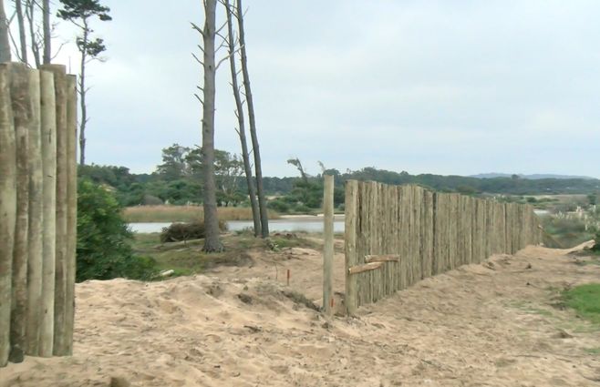 obra-cuestionada-por-vecinos-en-ocean-park.jpg