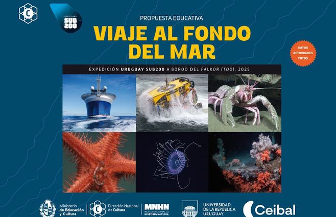 viaje-al-fondo-del-mar-librillo-uruguay-sub200