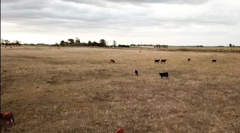 Gobierno resolvió declarar la emergencia agropecuaria por déficit hídrico para localidades de diez departamentos