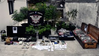 incautan 15 kilos y 109 plantas de marihuana en una casa en maldonado