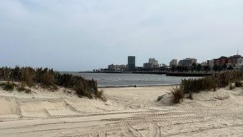 de fresco a calido y sin anuncios de lluvias, mira el pronostico de nubel cisneros para los proximos dias