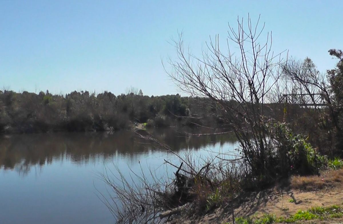 Presidente de OSE dijo que las lluvias "han sido un alivio" pero que la "emergencia hídrica" continúa