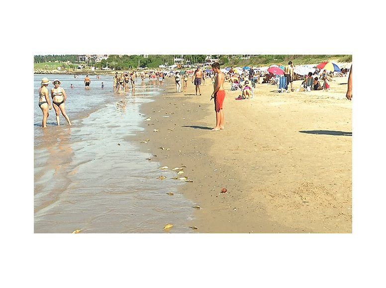 Gran cantidad de bagres muertos dejó varios heridos en playas de Montevideo