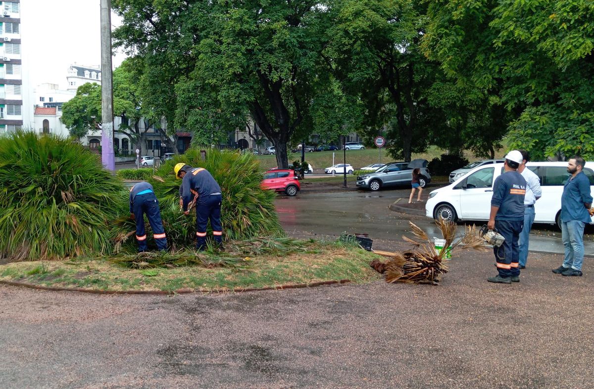 Foto: Lorena Nachajón, Subrayado. Foto: Lorena Nachajón, Subrayado.