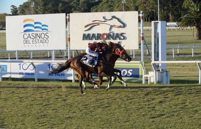 EL CANTANTE TURF (1).jpg