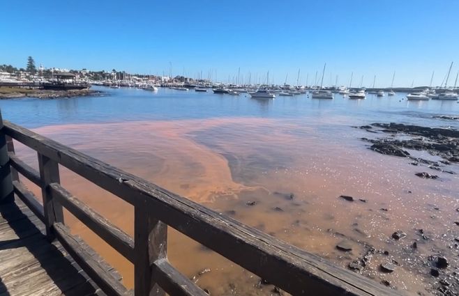 noctilucas-día-puerto-punta