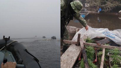 detuvieron un barco con 10 plantas de marihuana que navegaba por la laguna merin