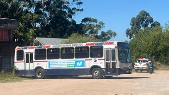 Ómnibus en el que ingresó la bala perdida. Foto: Guillermo Lorenzo.&nbsp;