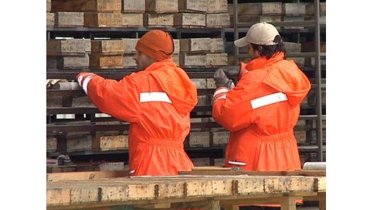 Aratirí envía 183 trabajadores al seguro y se queda sólo con 50