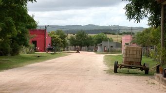 restos humanos encontrados en garzon son de un recien nacido; hay una mujer identificada