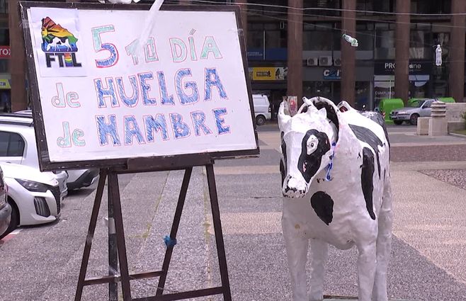 huelga-hambre-plaza