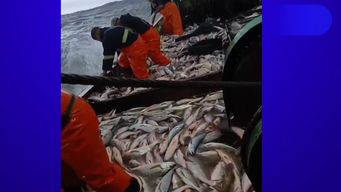 sindicato de la pesca denuncia situacion compleja en alta mar; pudo ser grave con trabajadores nuevos