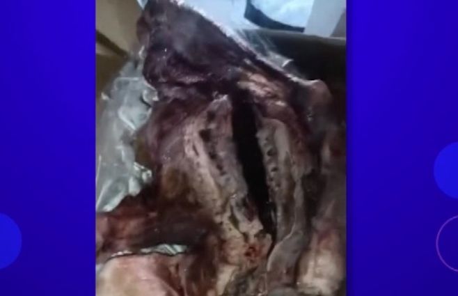 estafa-cordero-perro-