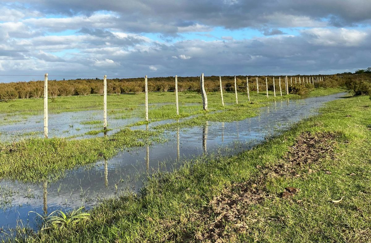 Nubel Cisneros anunció "eventos severos extremos" debido al Niño Godzilla y mucha lluvia para primavera y verano