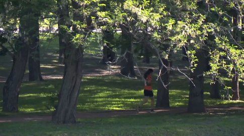 Foto: Subrayado. Prado, Montevideo. Foto: Subrayado. Prado, Montevideo.