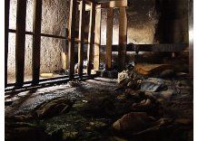 Pérdidas totales en incendio de una casa en Marconi; piden ayuda