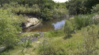 aparecio muerto el cazador que era buscado hace casi una semana