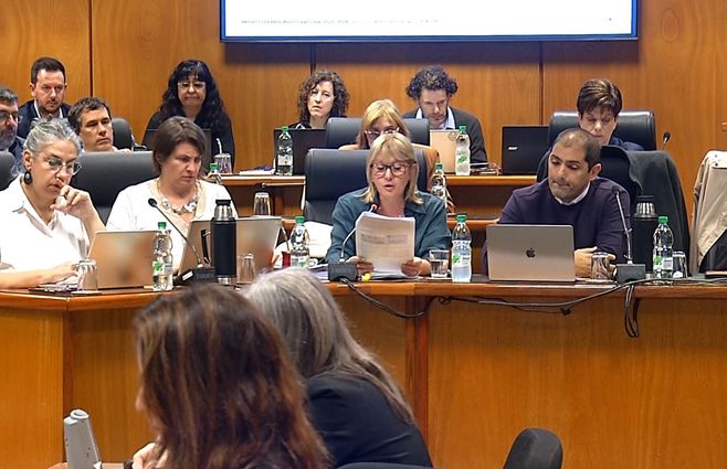 Cristina-Lustemberg-en-comisión-presupuesto