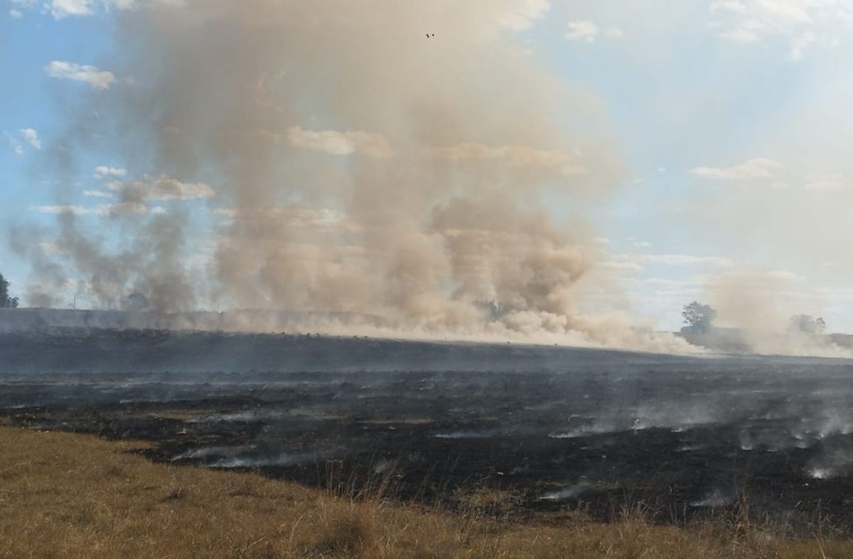 Intenso humo por incendio de campo causó choque entre dos vehículos en ruta 14, Rocha