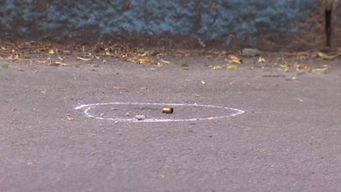 un hombre en situacion de calle esta grave tras recibir un disparo en la cabeza