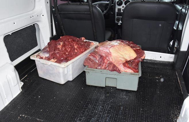 carne-abigeato-rocha.jpg