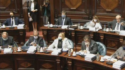 luc: se voto por unanimidad en el senado la creacion del ministerio de ambiente