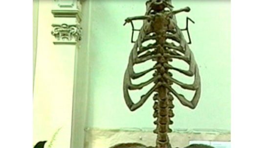 La institución científica más antigua sin salas de exposición