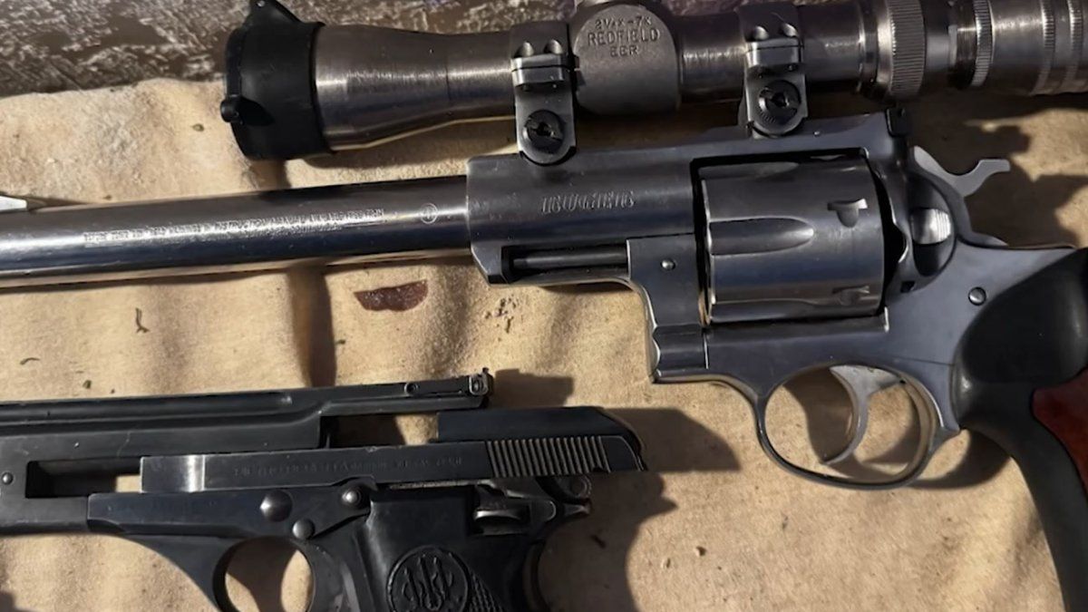 Armas de fuego en Uruguay: hay 600 mil registradas y 400 mil sin control estatal