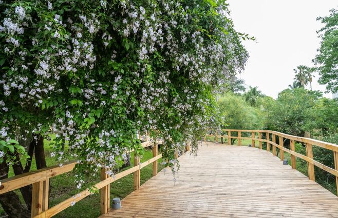 Foto: Intendencia de Montevideo