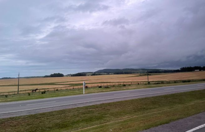 CAMPO NUBLADO.jpeg