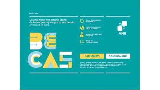 becas anii