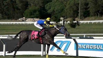 Subrayado | MICRO TURF 25-01