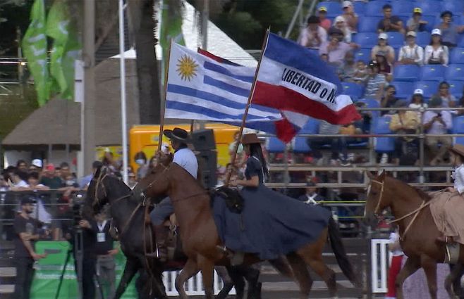 criollas-Prado.jpg