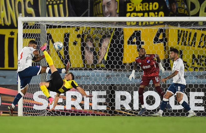 WhatsApp Image 2024-01-17 at 23.28.16.jpeg