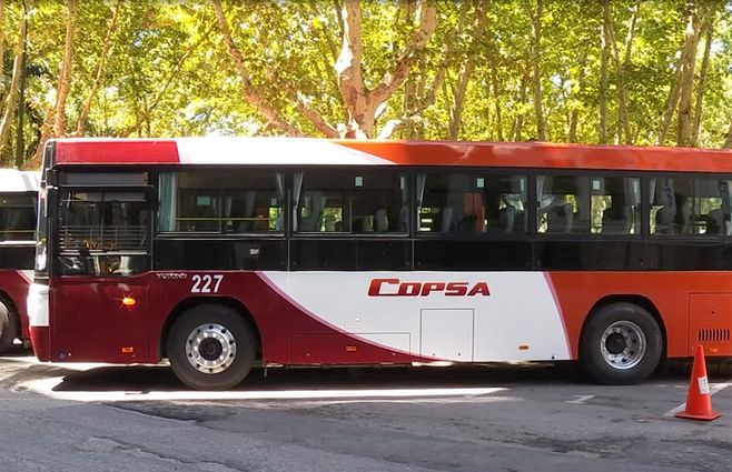 rapiña-omnibus.jpg