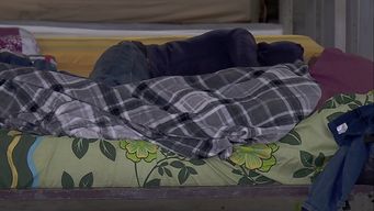 refugios tienen 3.850 plazas ocupadas y este martes hubo 57 traslados