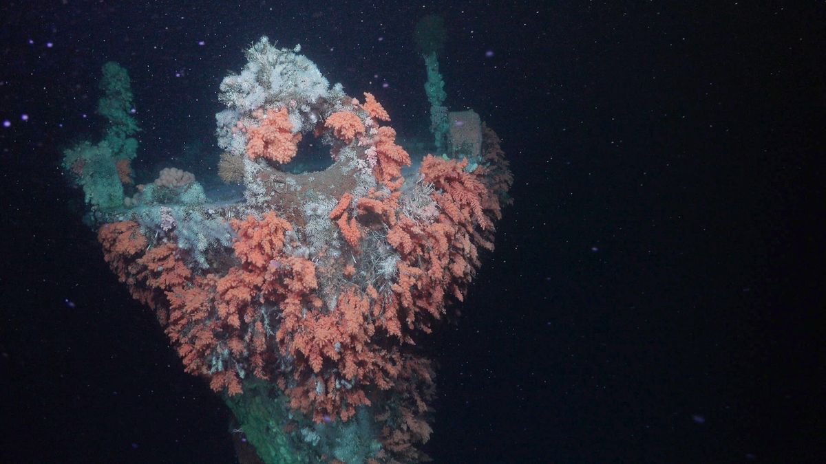 Buque hundido. Fuente: Schmidt Ocean Institute