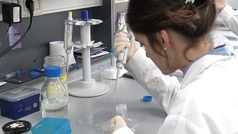 preocupa a autoridades aumento de casos de sifilis; una mujer murio por no tratarse a tiempo