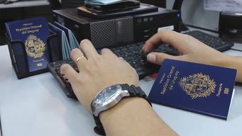 institucion de derechos humanos insto al gobierno a revisar marcha atras de cambios a los pasaportes