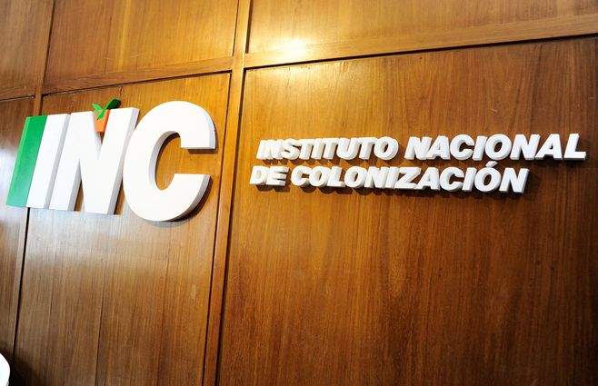 colonización-instituto-.jpg