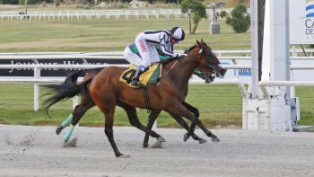 Subrayado | 9 MICRO TURF 11 D FEB