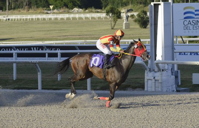 Sub Princess turf (1).jpg