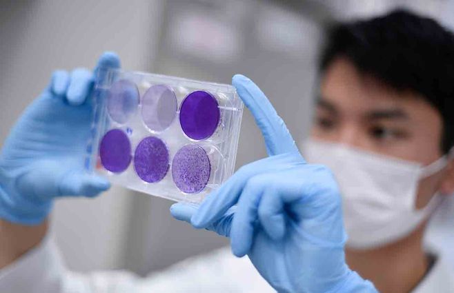 coronavirus-laboratorio-pruebas-afp.jpg