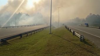 bomberos trabajan desde la manana para apagar incendio entre la floresta y costa azul